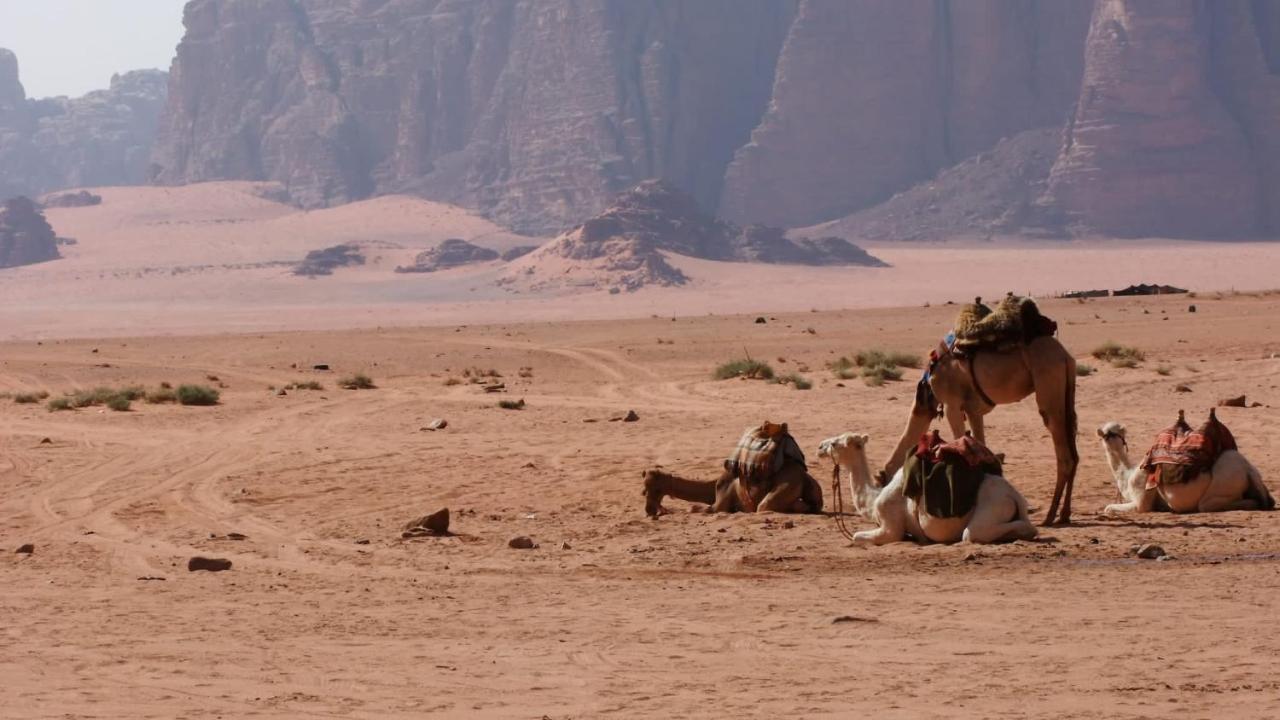 Bedouin Memories Camp Hotel Wadi Rum Buitenkant foto